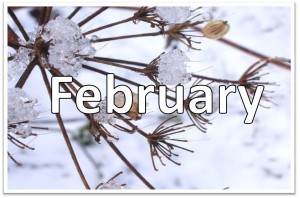 February-1